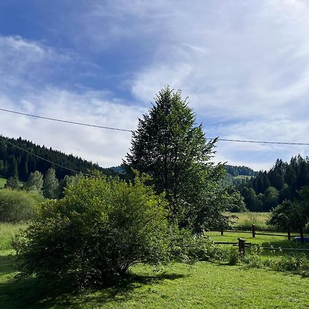 Drewniany Domek Bb Nad Rzeka Powrożnik Esterno foto