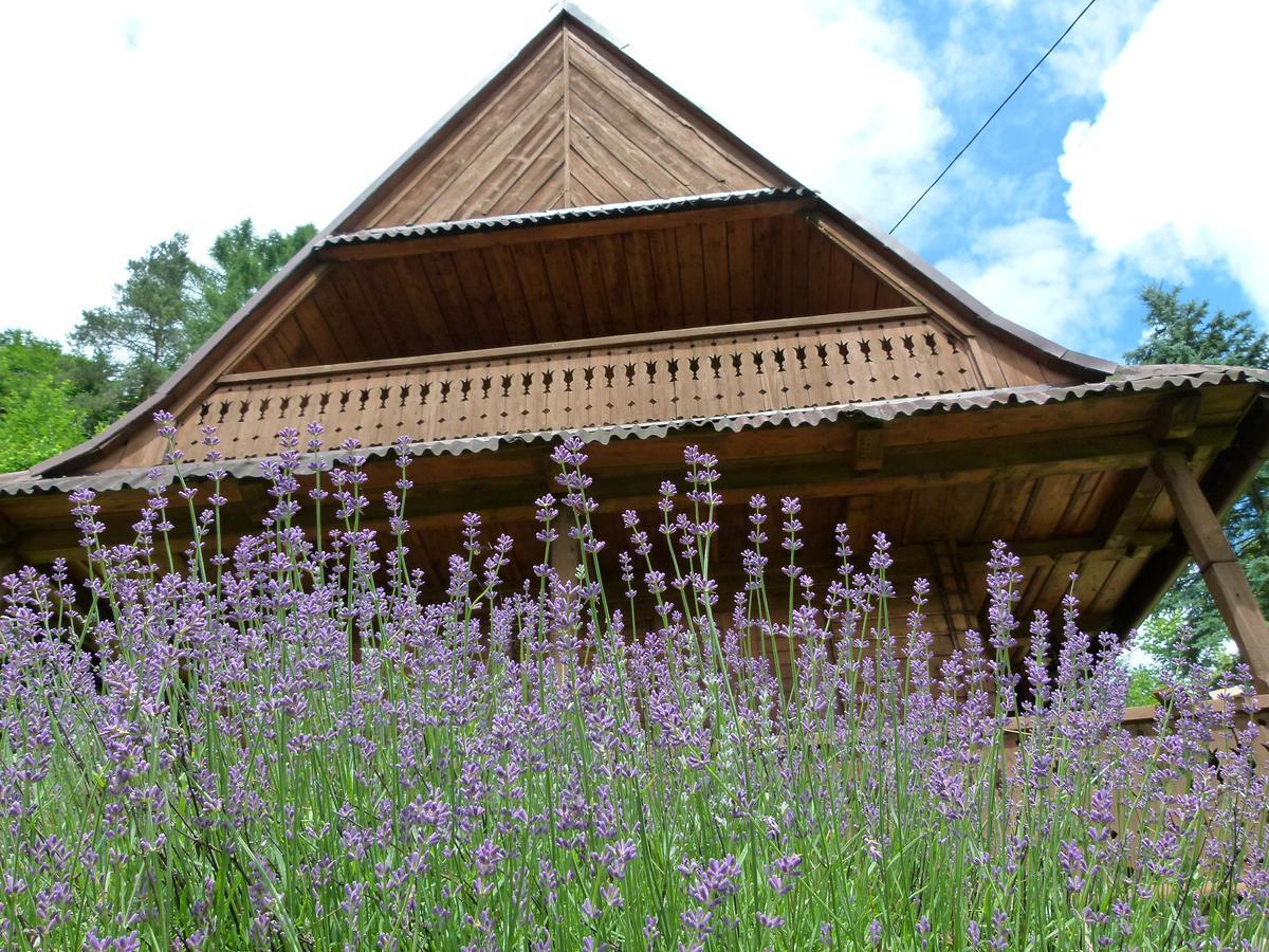 Drewniany Domek Bb Nad Rzeka Powrożnik Esterno foto